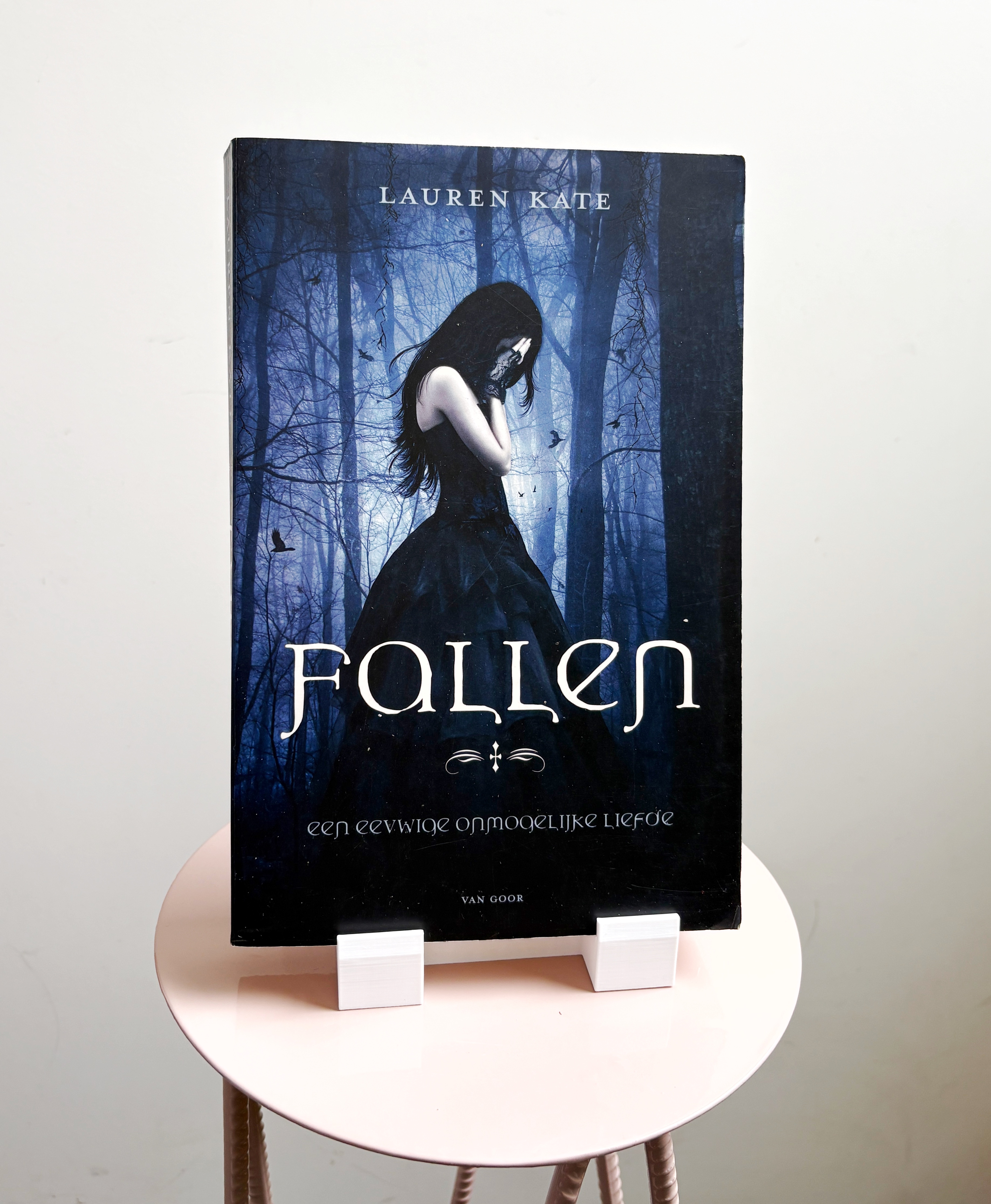 Omslag van Fallen